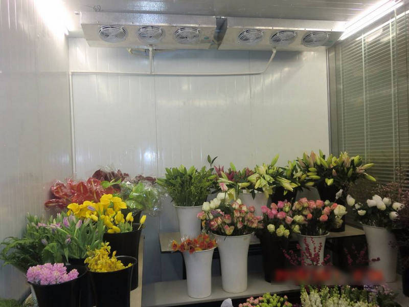鮮花冷庫怎樣保鮮鮮花？是用風冷還是直冷？