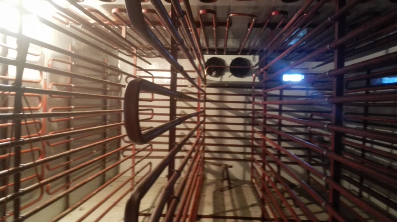 駐馬店和興利群合作社粉條冷庫